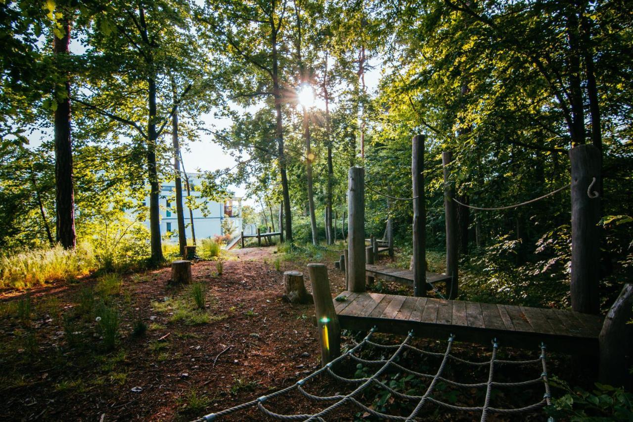 Oasis Appart - Wohnen Im Koenigspark - Elbhang Dresden - Grosse Terrasse - Netflix - Tg Экстерьер фото